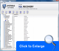 SQL Recovery